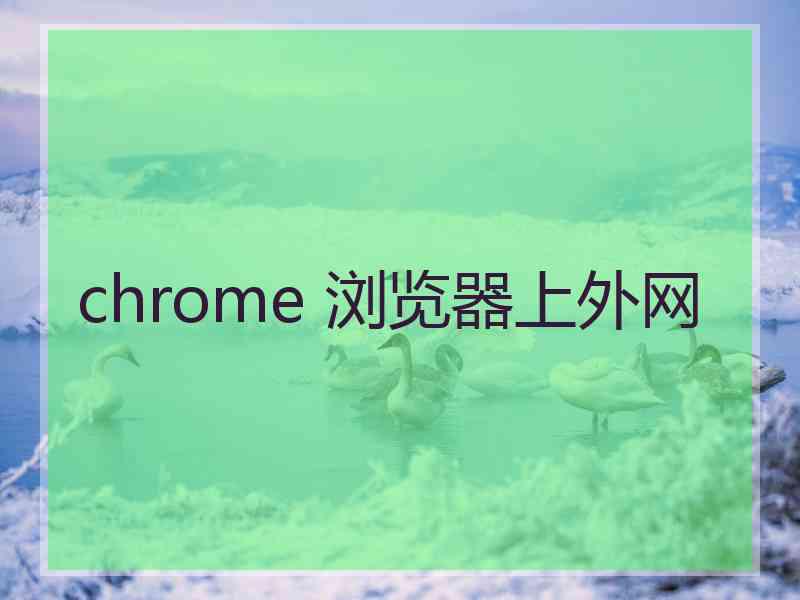 chrome 浏览器上外网