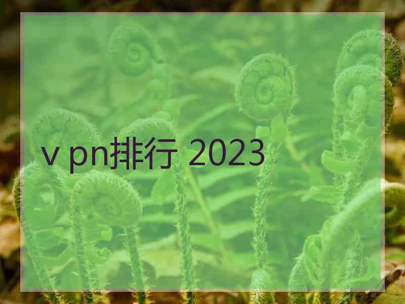 ⅴpn排行 2023