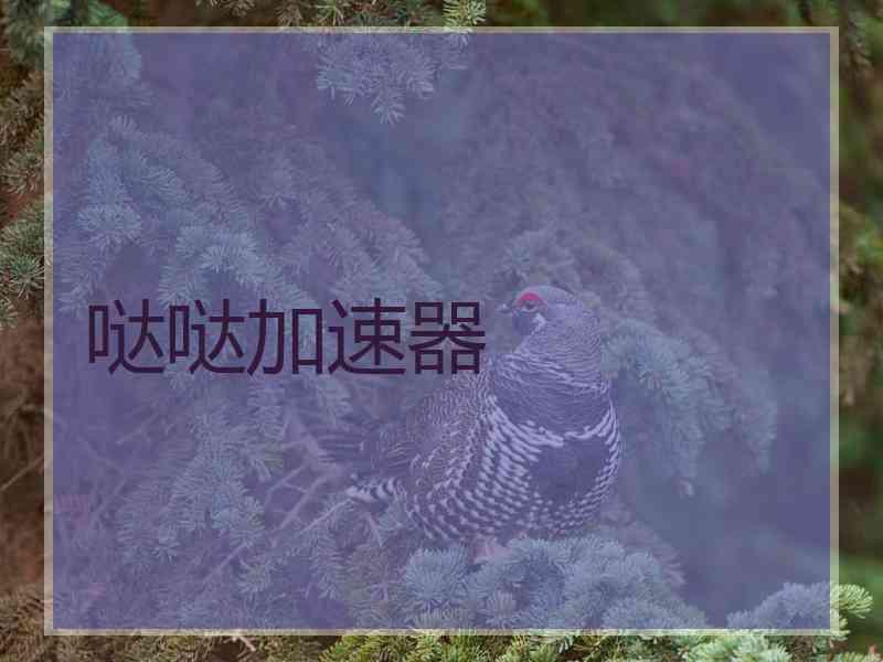 哒哒加速器