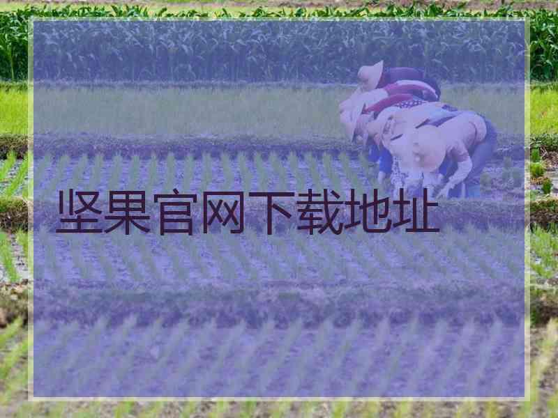 坚果官网下载地址