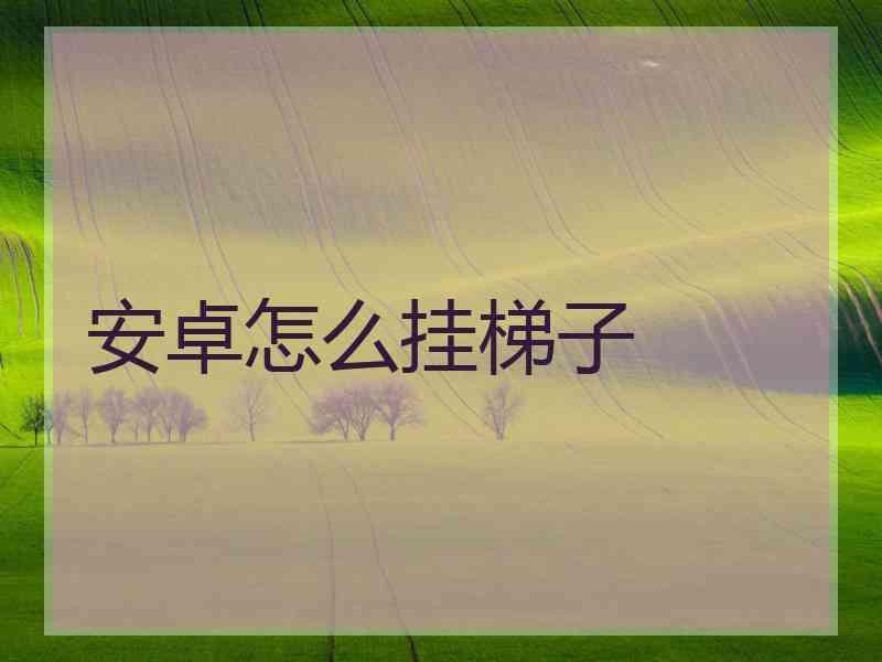 安卓怎么挂梯子