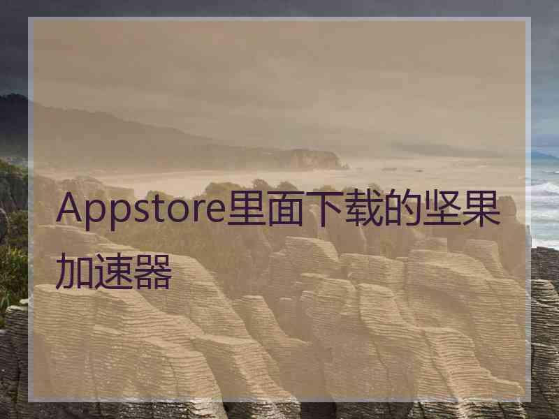 Appstore里面下载的坚果加速器
