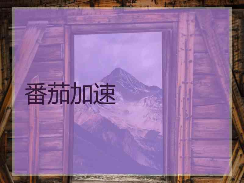 番茄加速