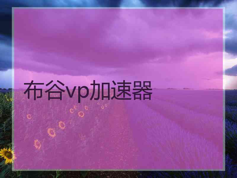布谷vp加速器