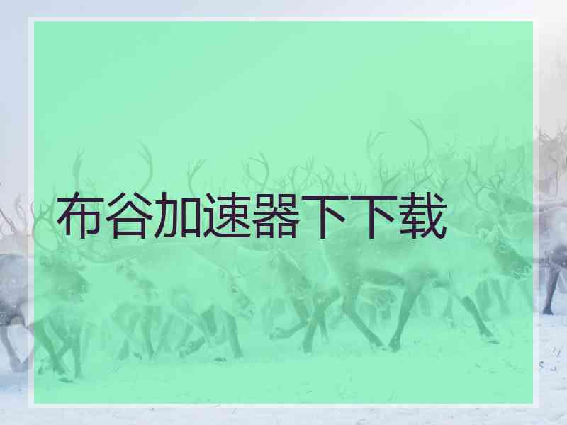 布谷加速器下下载