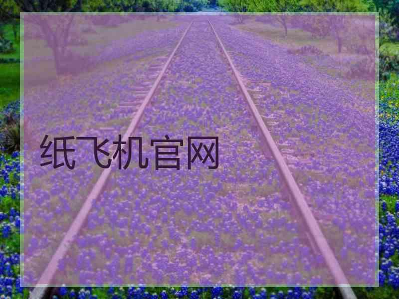 纸飞机官网