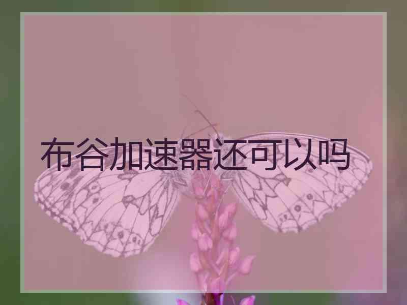 布谷加速器还可以吗