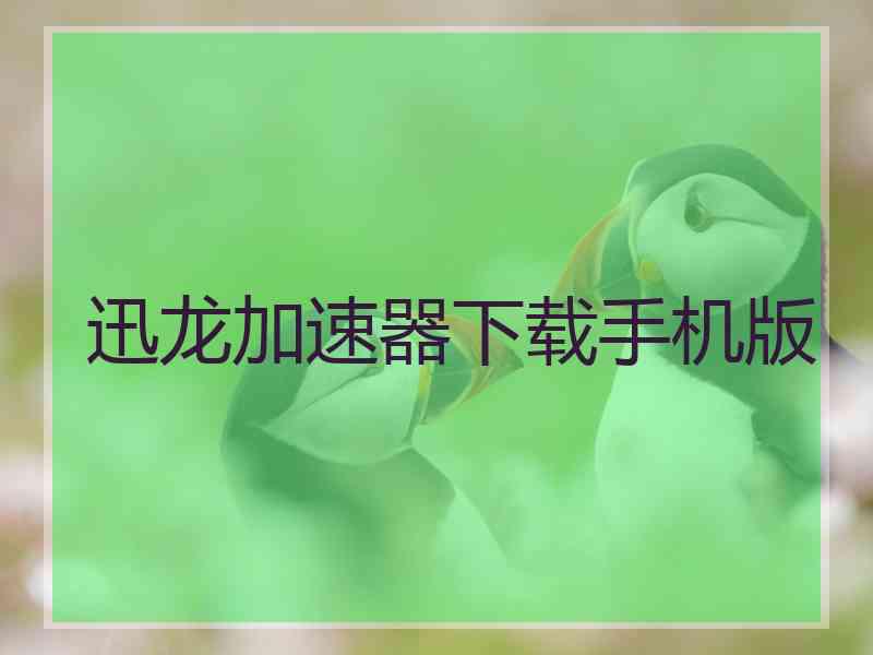 迅龙加速器下载手机版
