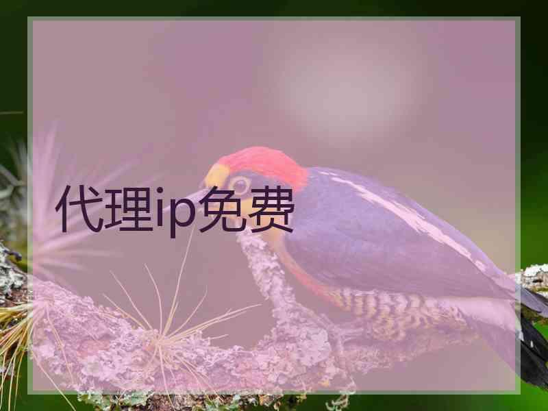 代理ip免费
