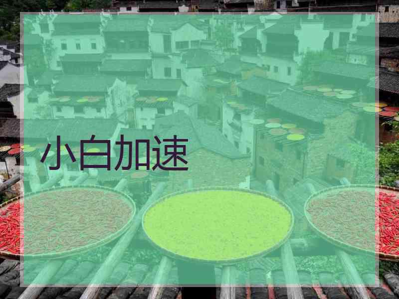 小白加速