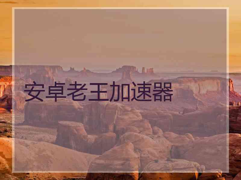 安卓老王加速器