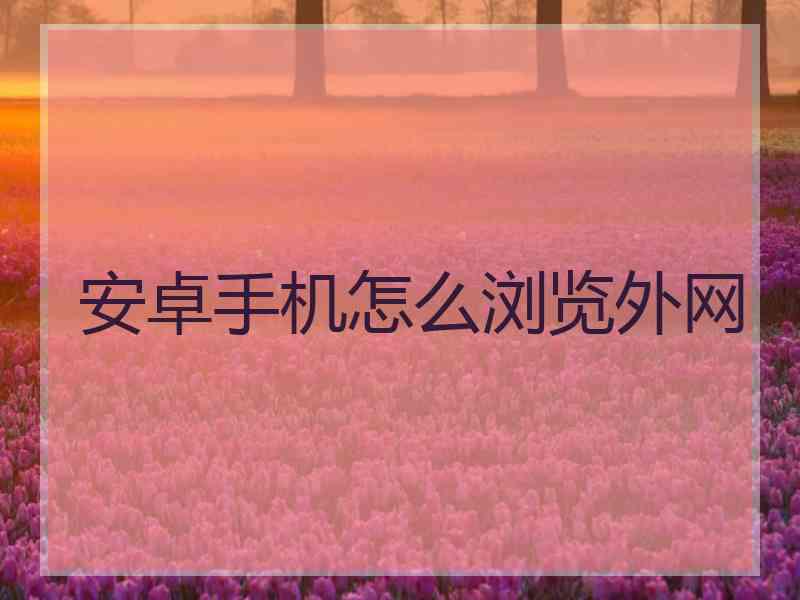 安卓手机怎么浏览外网