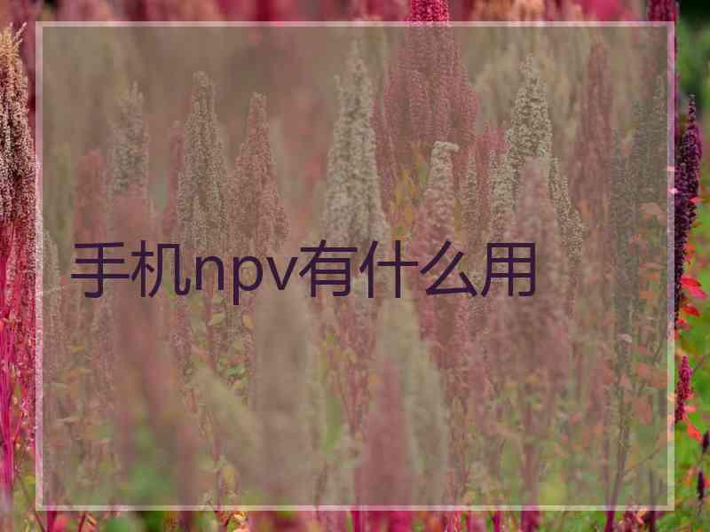 手机npv有什么用