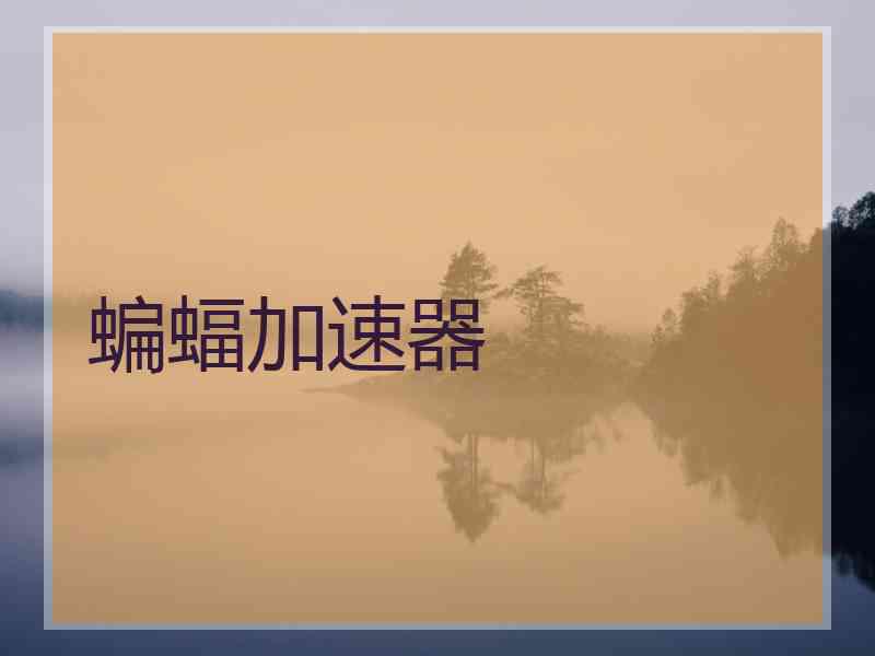 蝙蝠加速器