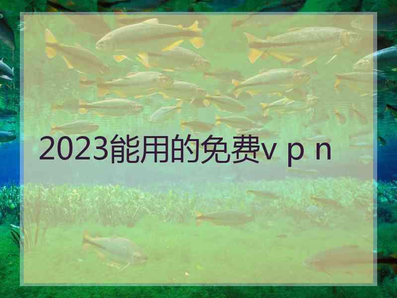 2023能用的免费v p n