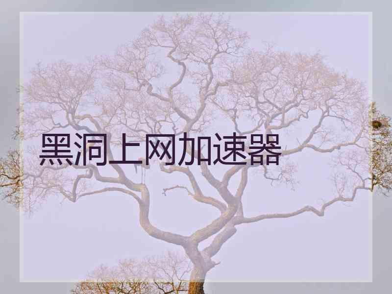 黑洞上网加速器