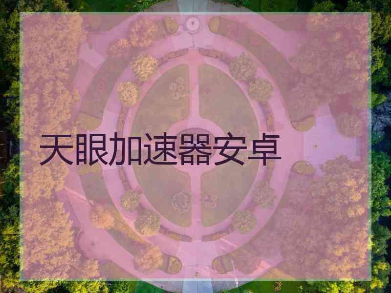 天眼加速器安卓