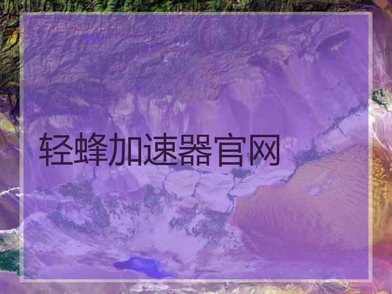 轻蜂加速器官网