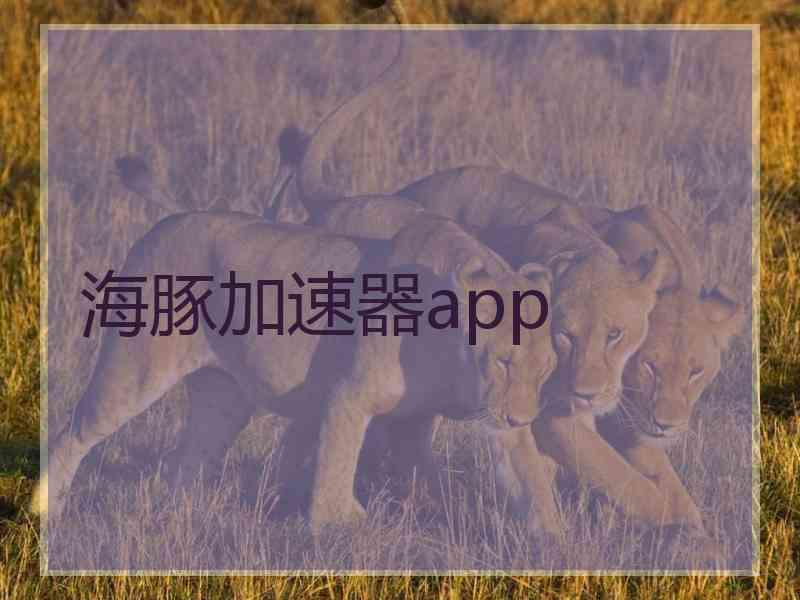 海豚加速器app
