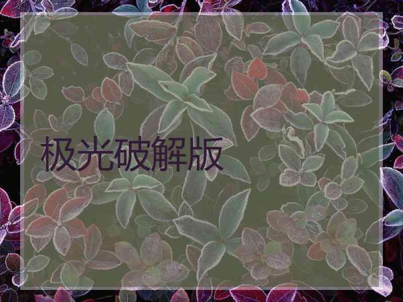 极光破解版