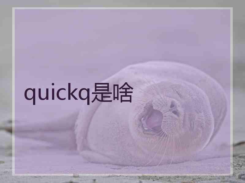quickq是啥
