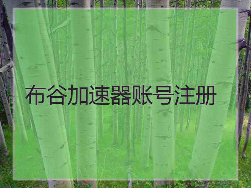 布谷加速器账号注册