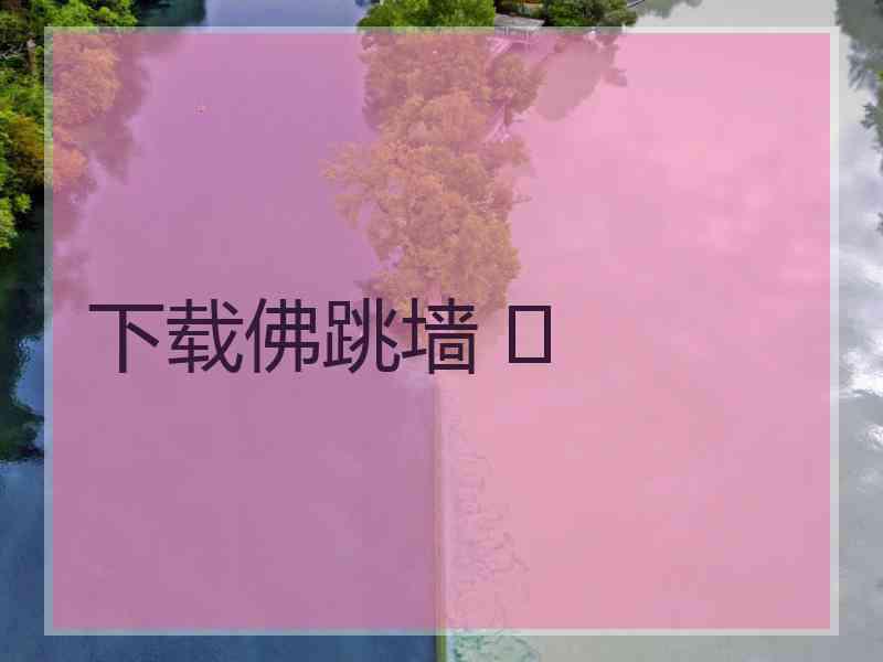 下载佛跳墙 	
