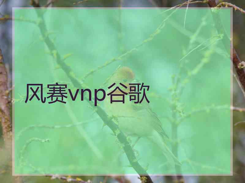风赛vnp谷歌