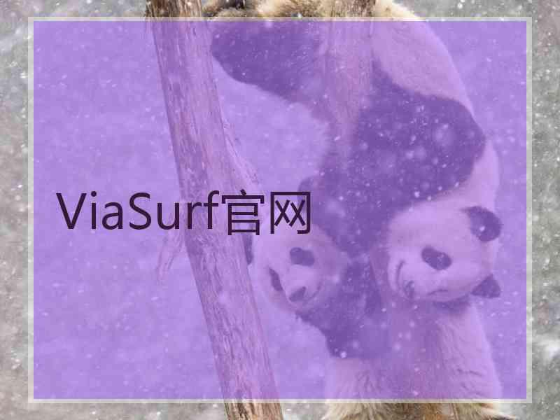 ViaSurf官网