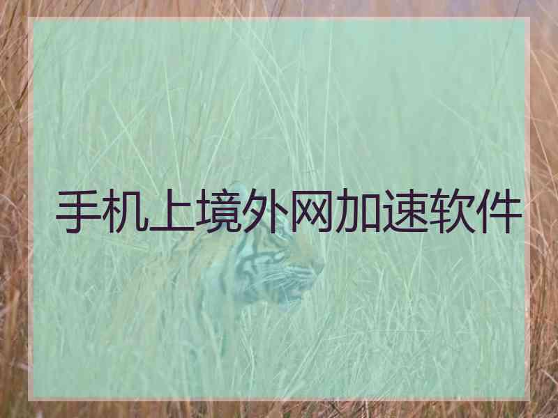 手机上境外网加速软件