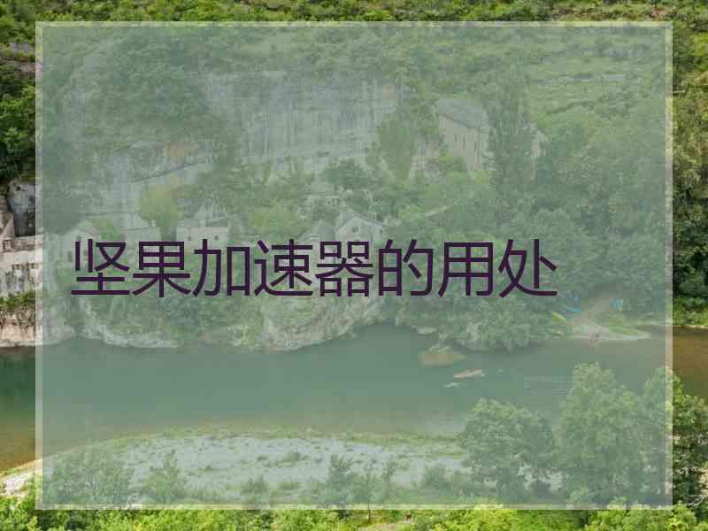 坚果加速器的用处