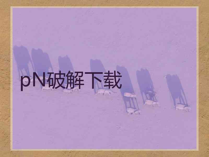 pN破解下载