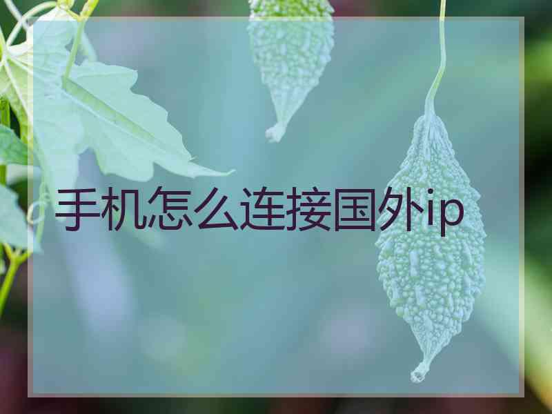 手机怎么连接国外ip