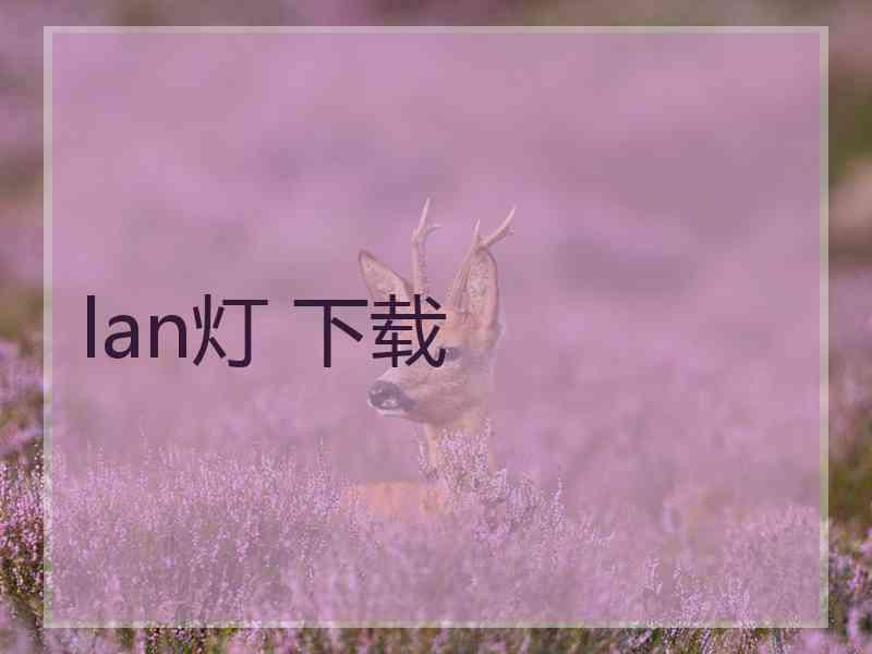 lan灯 下载