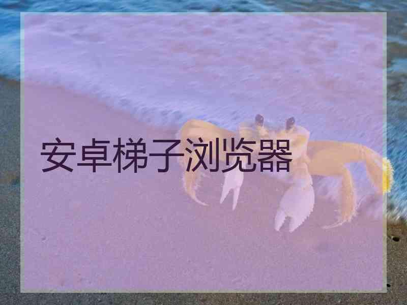 安卓梯子浏览器