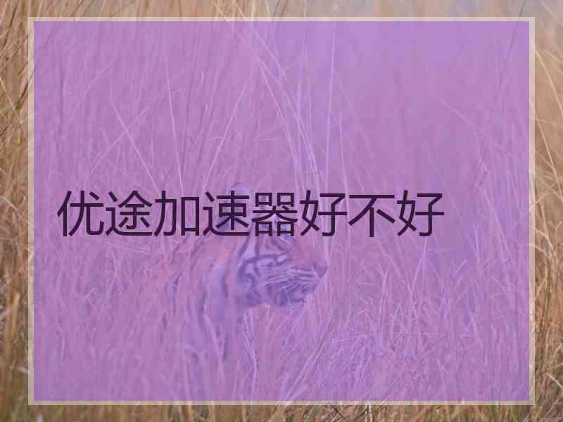 优途加速器好不好