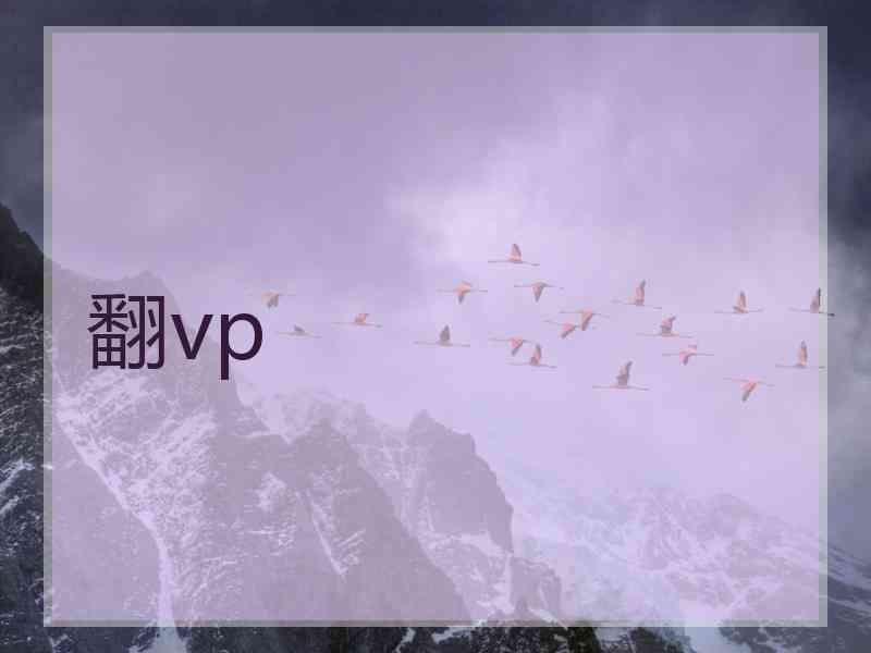 翻vp