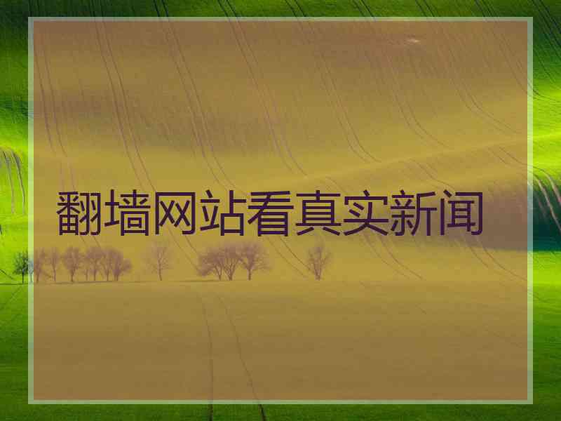 翻墙网站看真实新闻