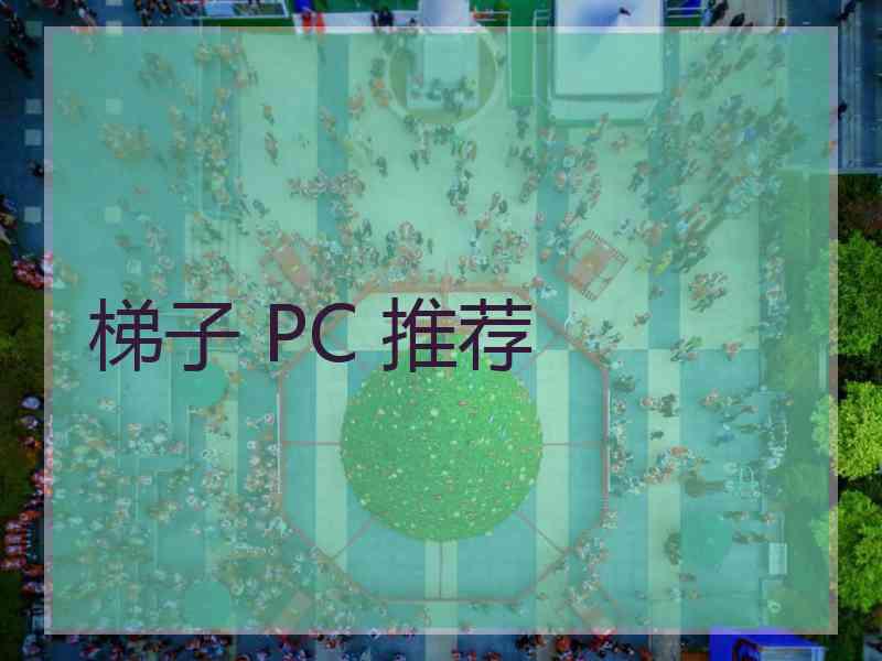 梯子 PC 推荐