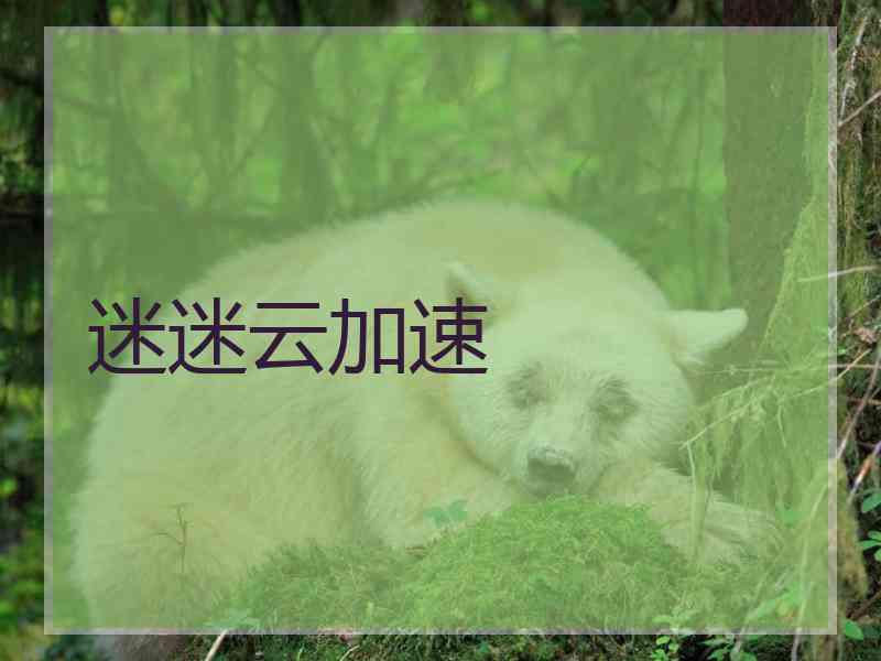 迷迷云加速