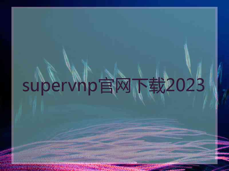supervnp官网下载2023
