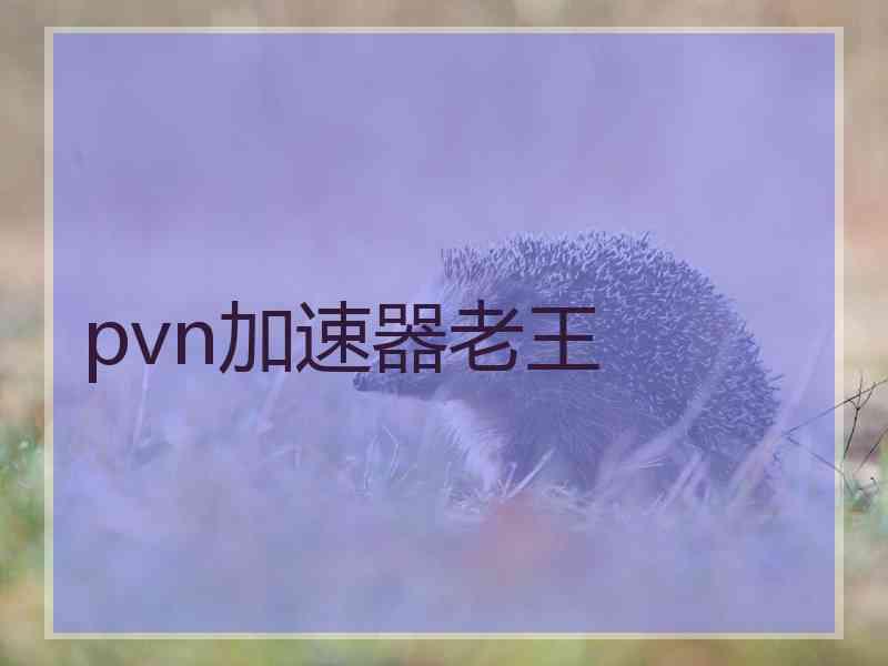 pvn加速器老王
