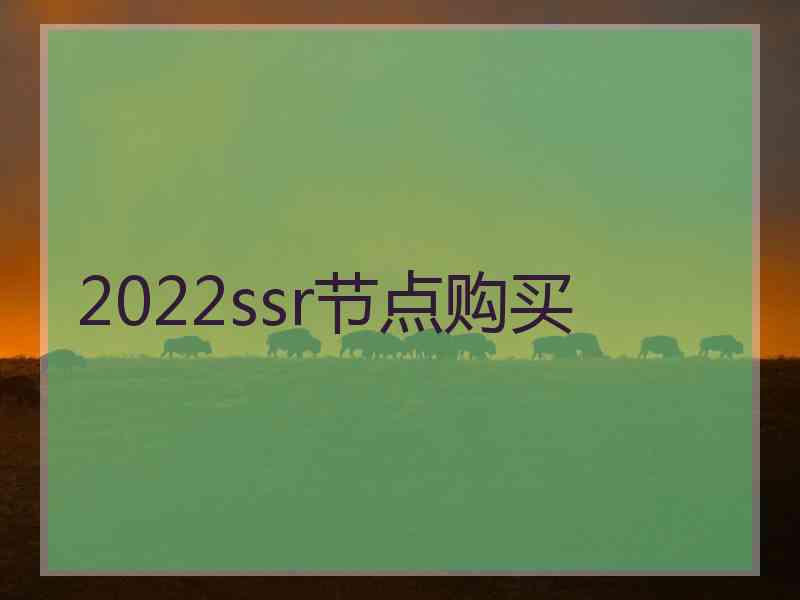 2022ssr节点购买
