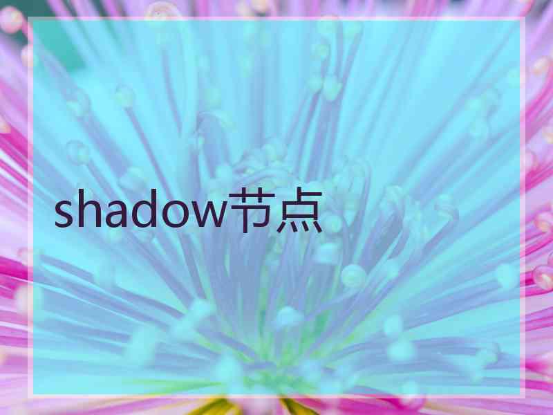 shadow节点