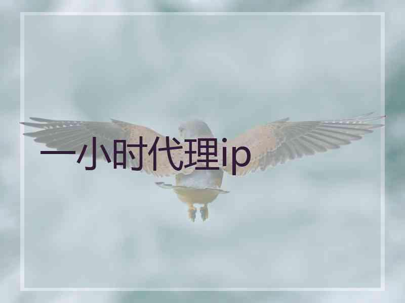 一小时代理ip