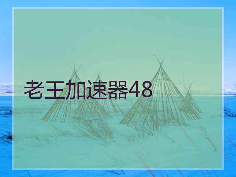 老王加速器48