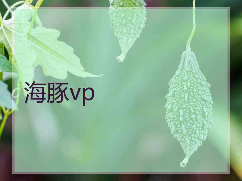 海豚vp