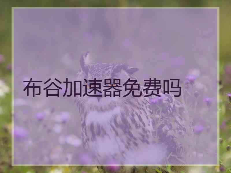 布谷加速器免费吗