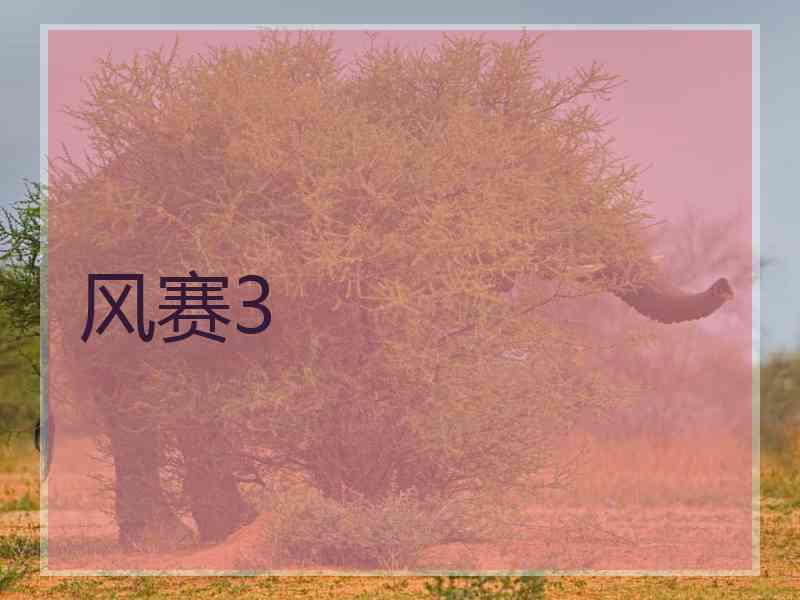 风赛3
