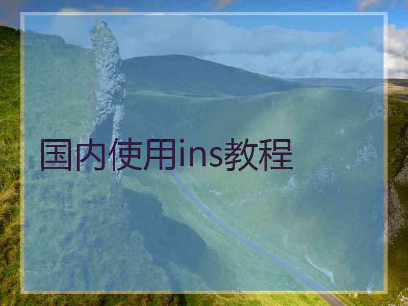 国内使用ins教程